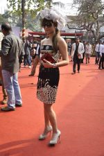 at McDowell Signature Premier Indian Derby 2013 day 1 in Mumbai on 3rd Feb 2013 (30).JPG